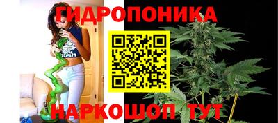 мдпв Старая Купавна