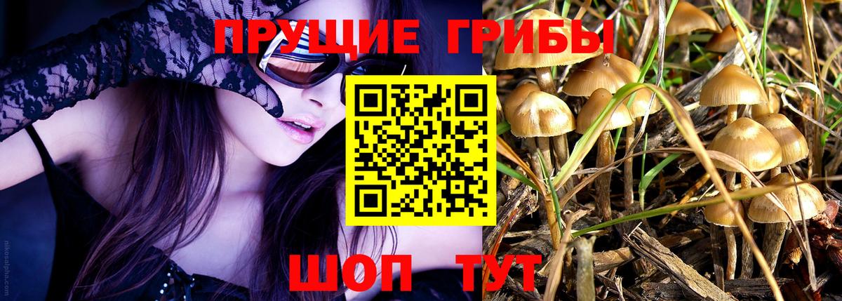 Галлюциногенные грибы Magic Shrooms Нурлат