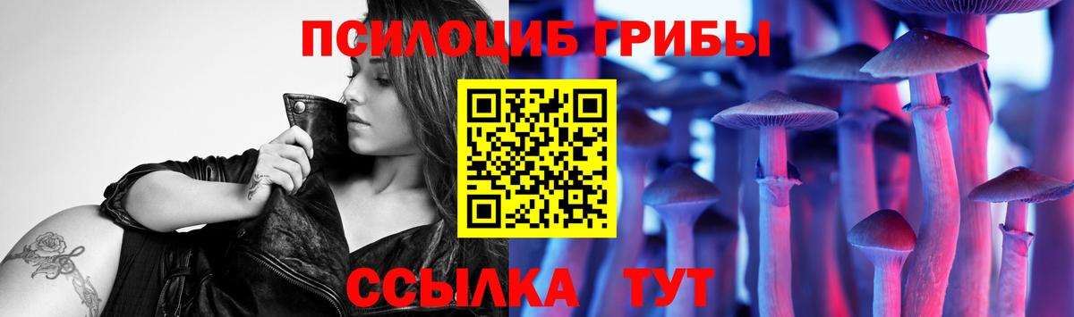 Псилоцибиновые грибы ЛСД  Вход с VPN  Галлюциногенные грибы GOLDEN TEACHER  сколько стоит  Нурлат 